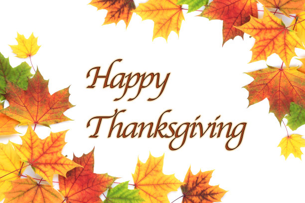 枯干多彩的枫叶上隔着白色的感恩文字图片下载