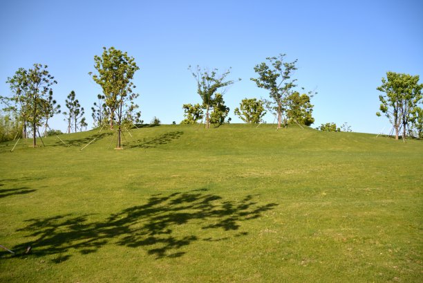 上海闵行公园,图片下载