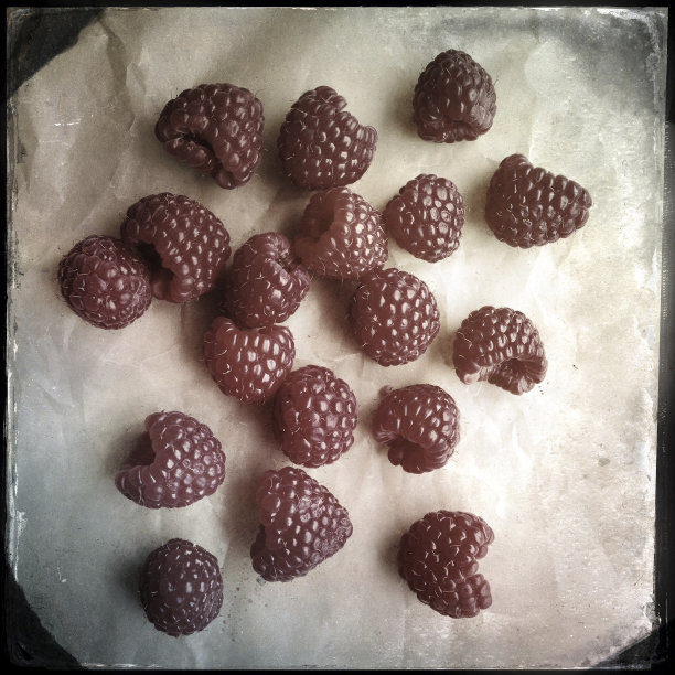 树莓锡版照相法图片下载