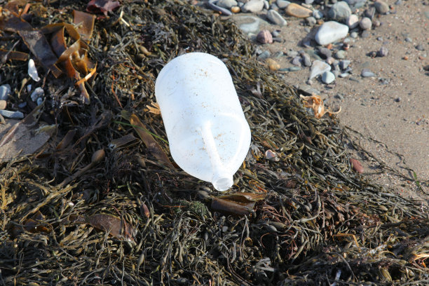 海滩上的垃圾图片下载