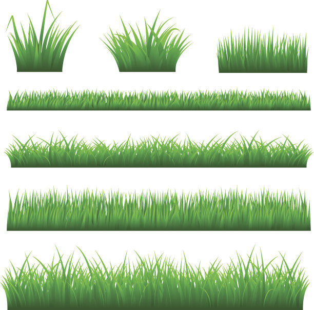 草地的背景图片下载