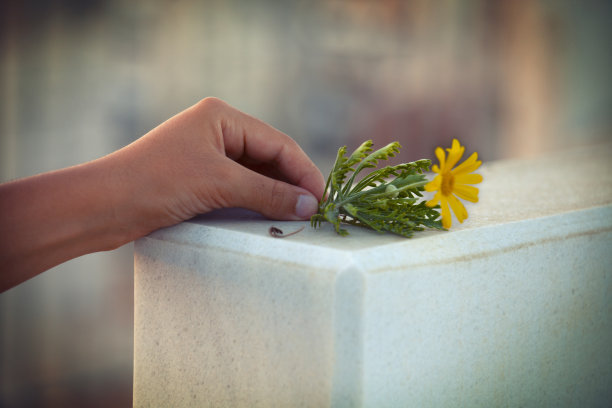 花在墓碑上图片下载