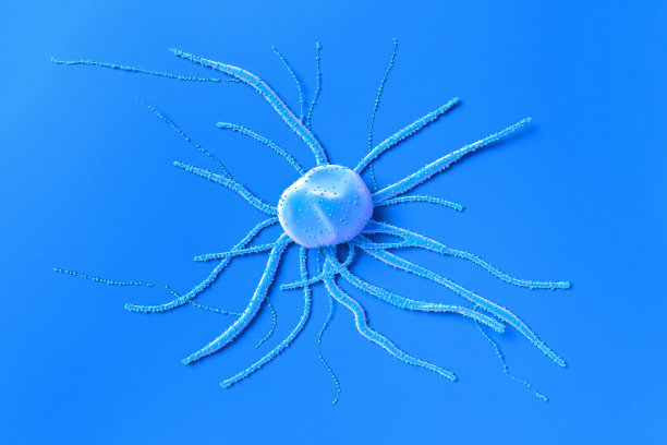 结肠癌细胞图片下载