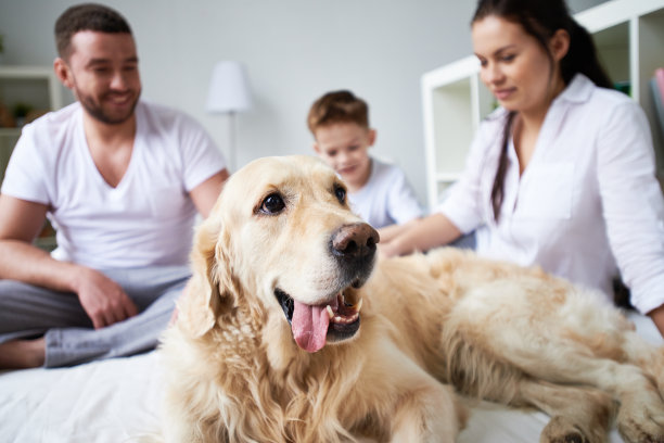 美国家庭图片下载