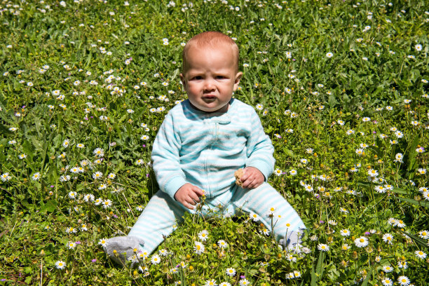 坐在田野里的婴儿图片下载