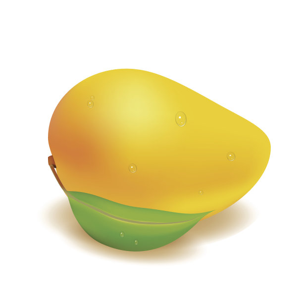 白色背景上的芒果图片下载