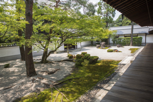 京都百万遍知恩寺的禅意花园素材图片