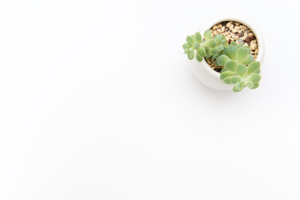 简单的背景图片下载