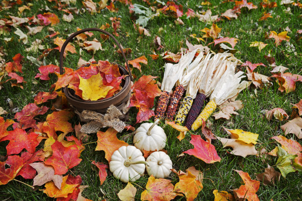 秋天的色彩图片下载