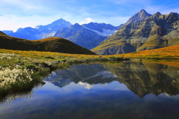 湖面倒映着瑞士的阿尔卑斯山，棉花野花田，泽马特图片下载
