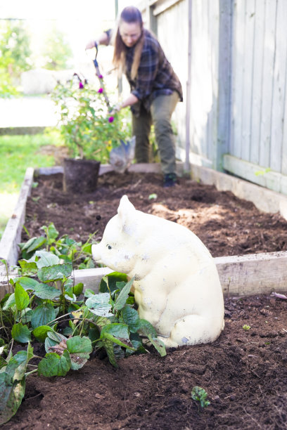 一个女人在她的花园里做秋季保养图片下载