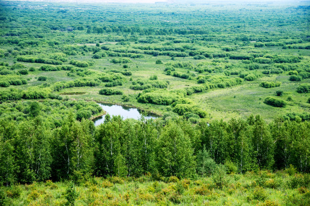 湿地景观图片下载
