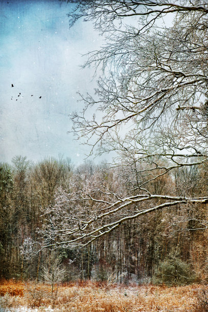 的分支机构图片下载