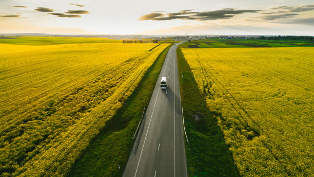 油菜籽田附近高速公路上卡车的鸟瞰图图片下载