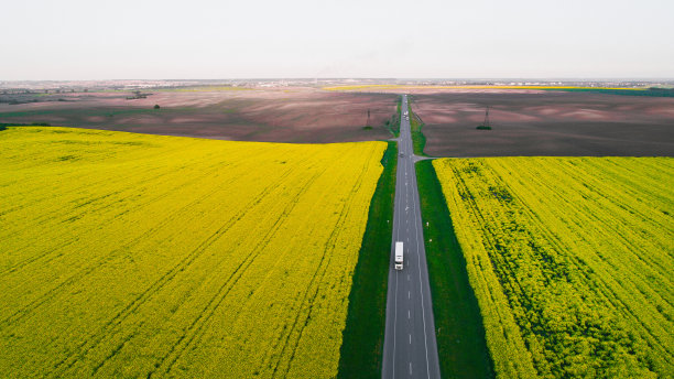 油菜籽田附近高速公路上卡车的鸟瞰图图片下载