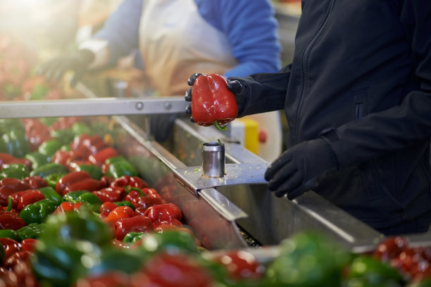 所有关于质量图片下载