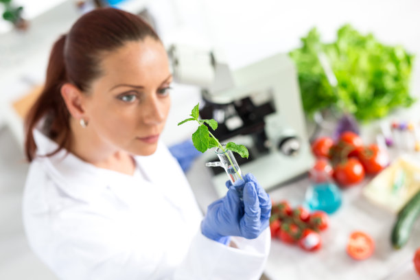 女性实验室技术员检验蔬菜的质量图片下载