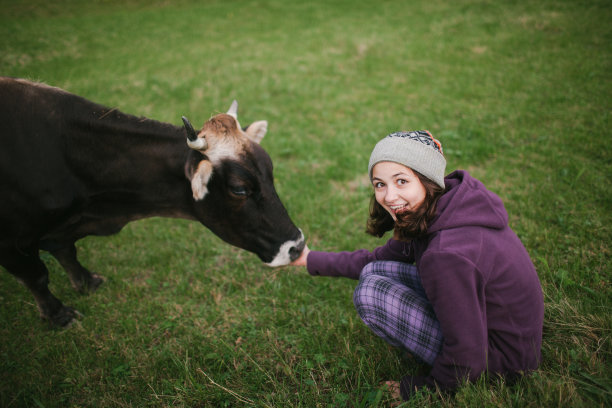 在草地上抚摸母牛的女人图片下载