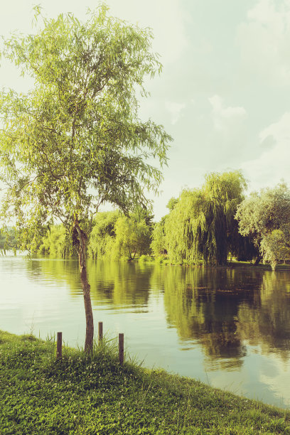 罗马尼亚布加勒斯特泰坦湖的I.O.R.公园图片下载