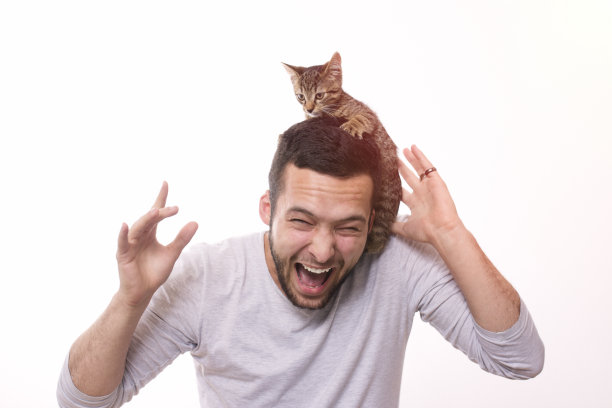 年轻英俊的男人和一只猫闹矛盾图片下载