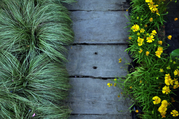 花园小径图片下载