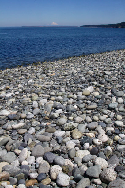 普吉特湾的岩石海滩图片下载
