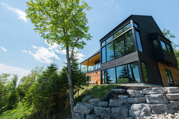 树林照片素材ID：153148678