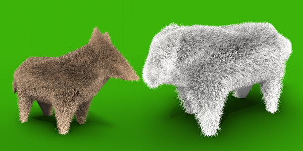 动物之间的友谊图片下载