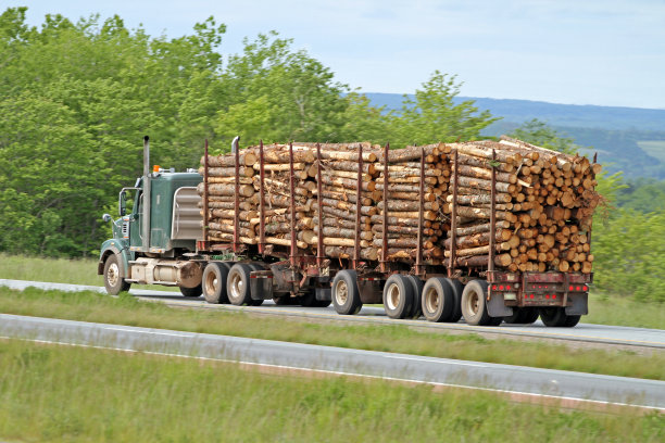 带串联拖车的半挂车，把原木拖到锯木厂图片下载