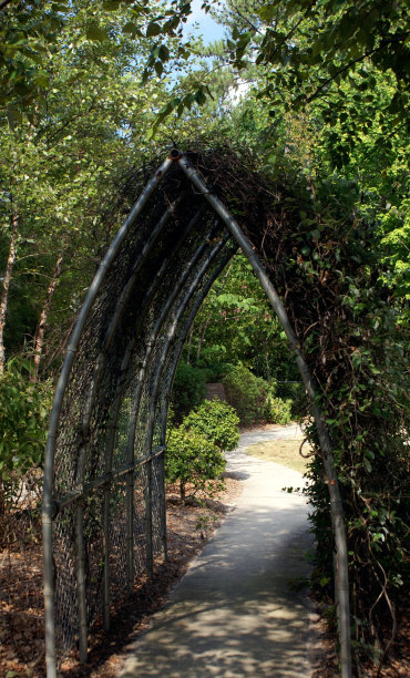 链条格子图片下载