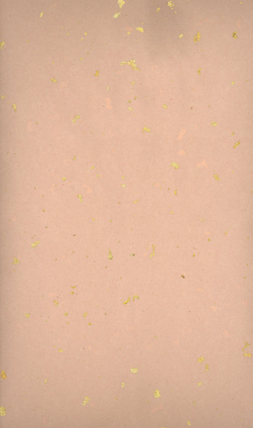 肉色纸(XXL)图片下载