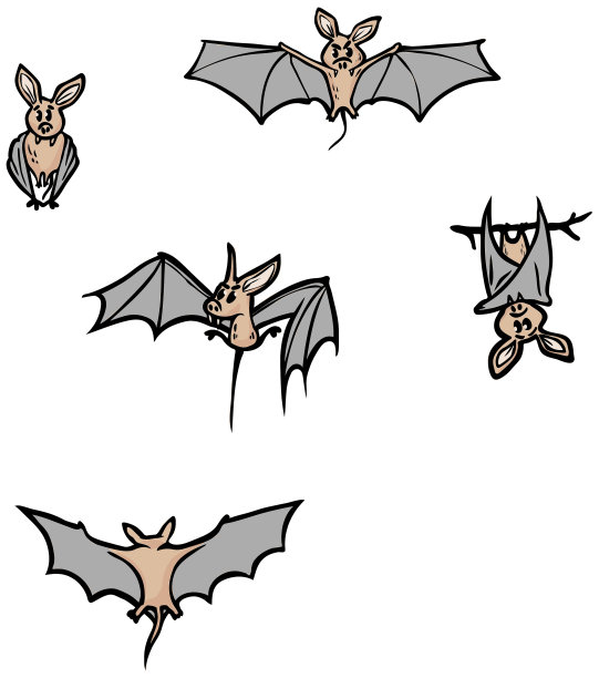 蝙蝠奖金包图片下载