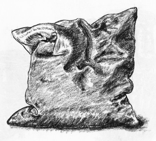 木炭枕头图片下载