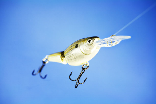 蓝色背景上的鱼饵图片下载