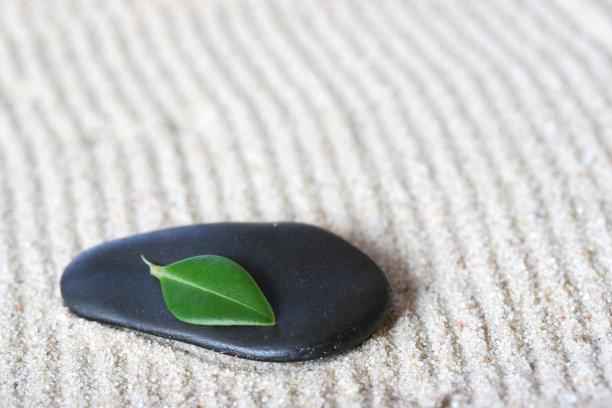 禅意花园图片下载