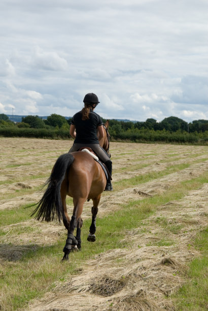 在驰骋图片下载