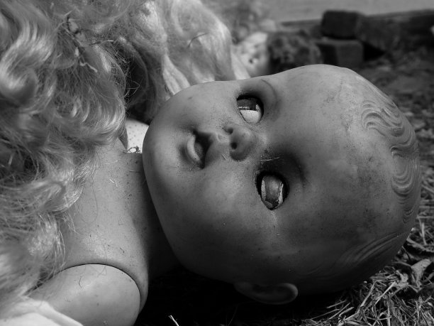 被遗忘的图片下载