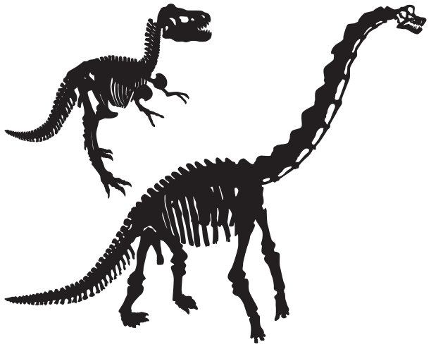 恐龙骨骼(向量)图片下载