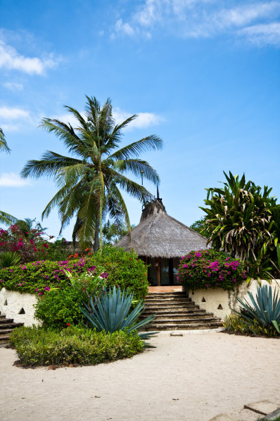 天堂岛上的平房图片下载