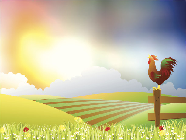 美丽的早晨图片下载