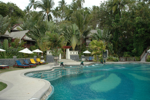 热带游泳池。图片下载