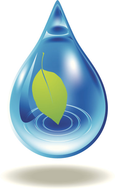 叶子放图片下载