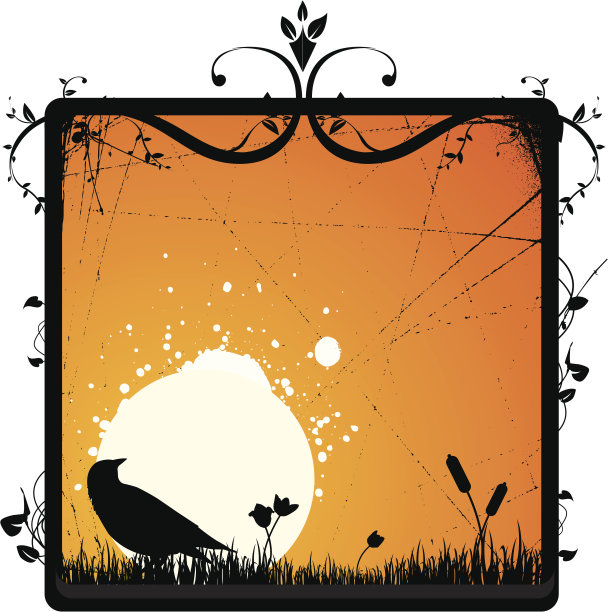 花卉日落框架图片下载