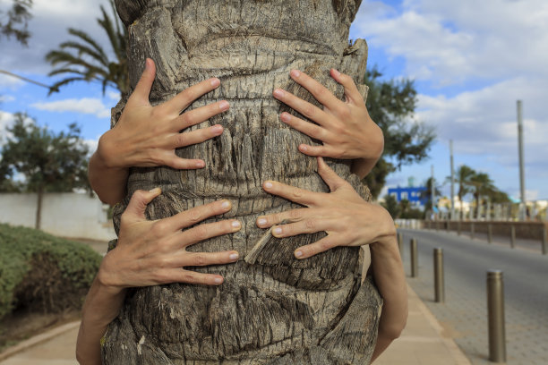 四臂托着树图片下载