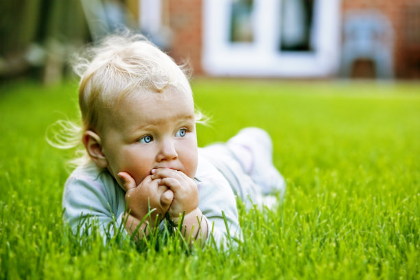 可爱的宝宝图片下载