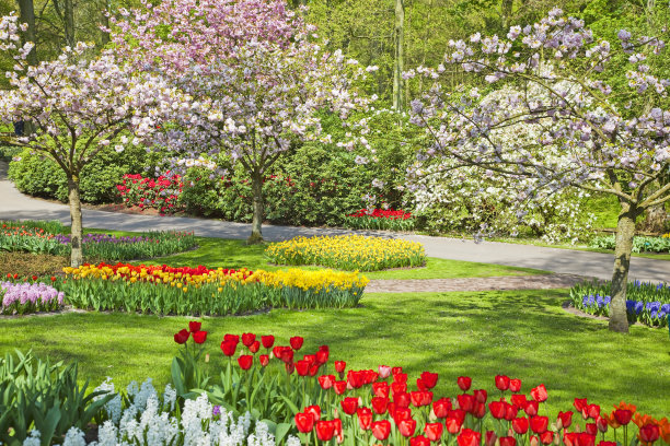 花园花# 44 XXXL图片下载