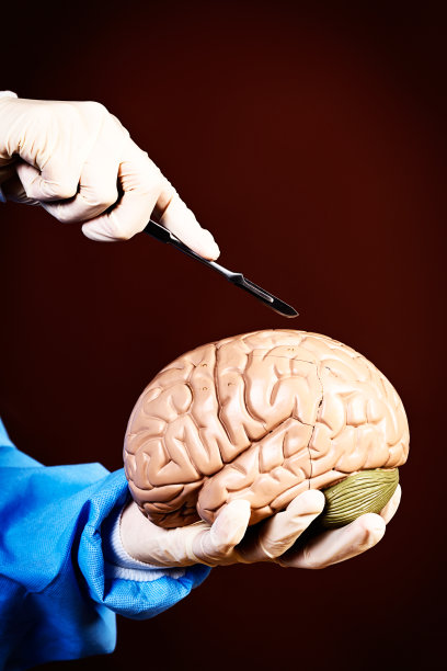 脑外科初学者:用手演示解剖技术图片下载