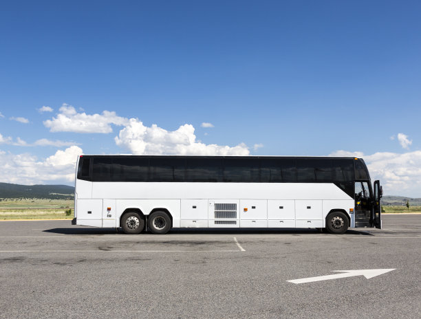 白色的旅游巴士图片下载