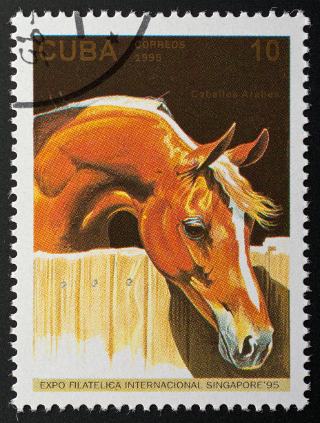 动机邮票古巴-阿拉伯马图片下载