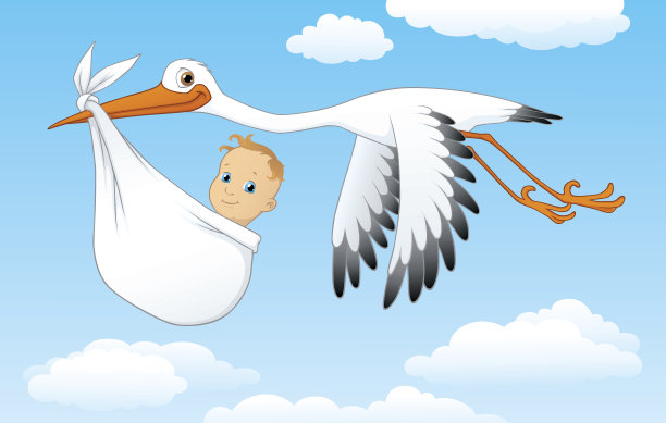 鹳带婴儿图片下载